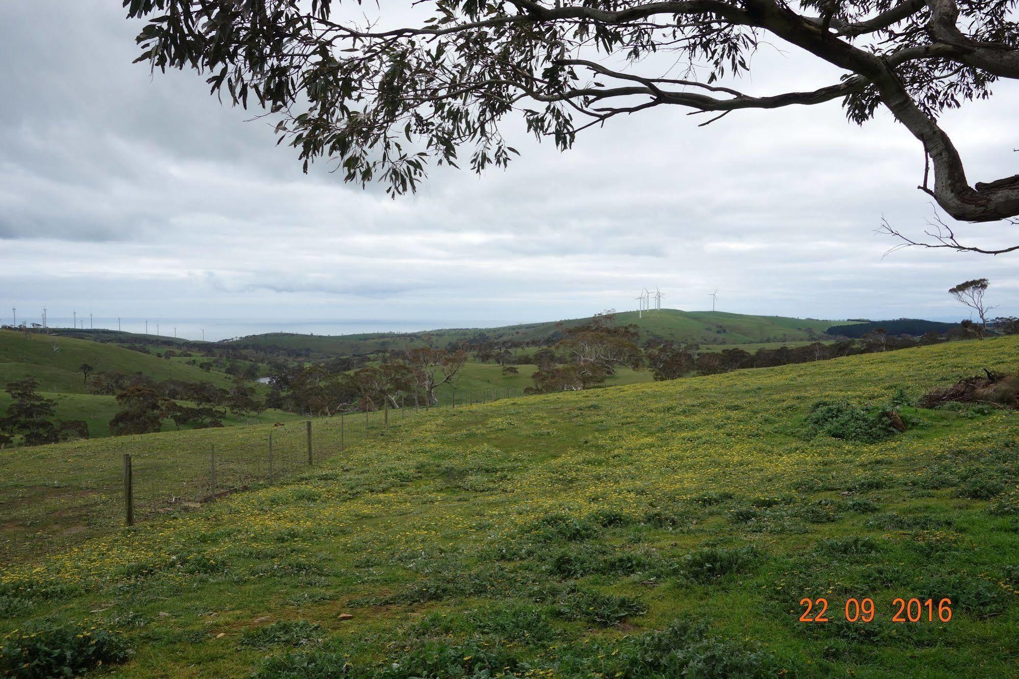 Morella Farmstay Cape Jervis Exterior foto
